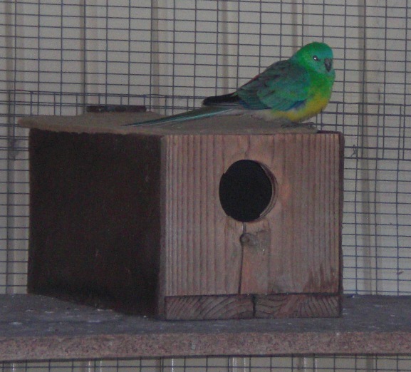 Image Image