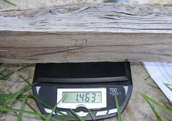 Final weights of seasoned splits were recorded along with original weights, then the split was re-split and moisture meter tested. Results recorded on paper then transferred to Excel for analysis. This was a particulary clear original weight from a rick split.