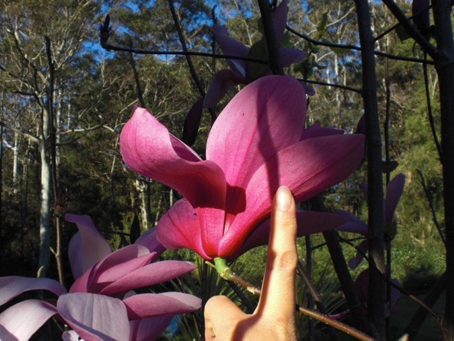 Image Image