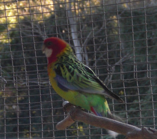 Image Image